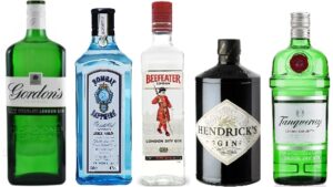 Read more about the article As 11 melhores marcas de Gin vendidas no Brasil